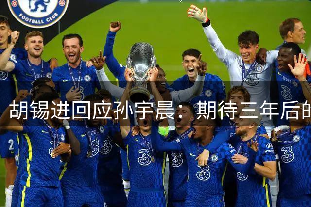 胡锡进回应孙宇晨：期待三年后的对话